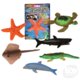 Growing Sea Animals