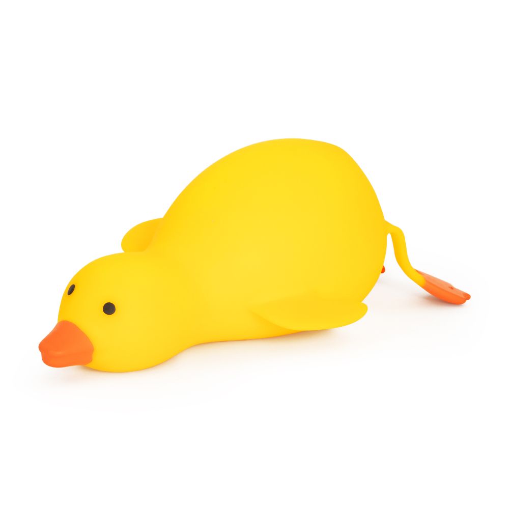 Squishy Duck