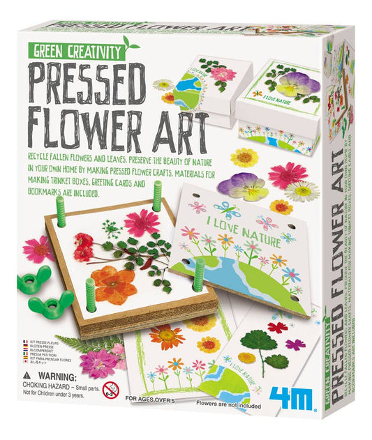 Green Creativity/Pressed Flower Art